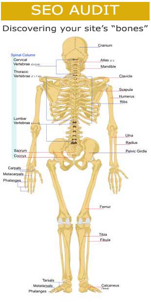 Included in Your Web Site Audit X-Ray