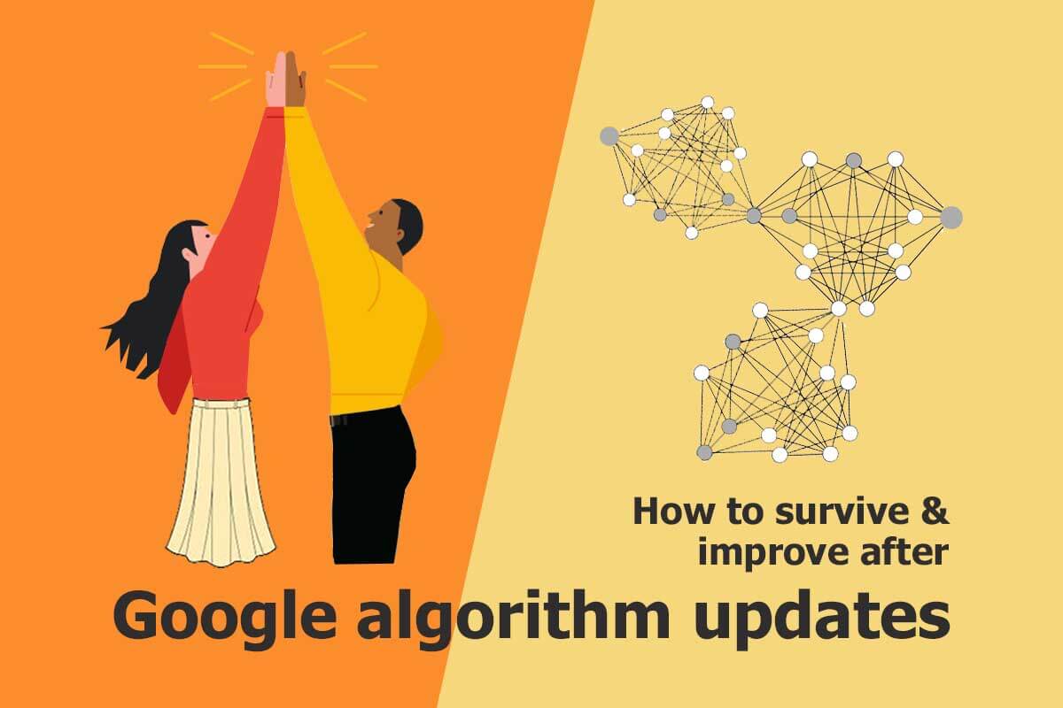 Google Algorithm Updates - Buffalo Soldiers Digital