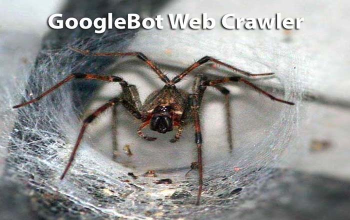 How Well Your Mobile Site is Crawled