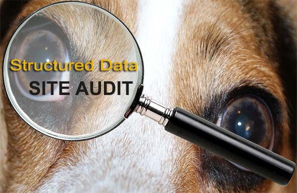 audit and review website structured data