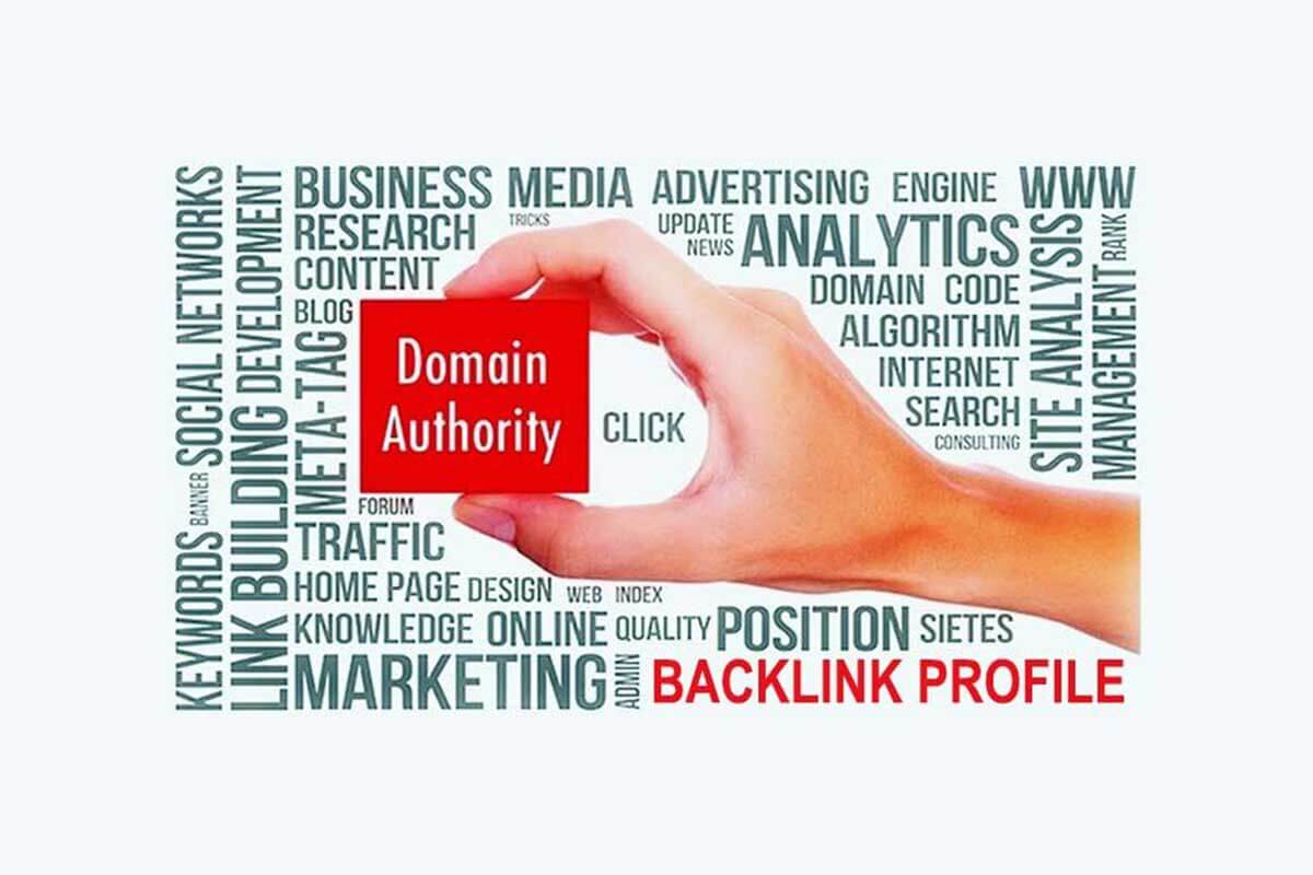 Check Site Domain Authority