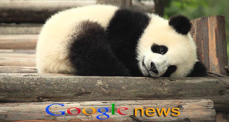 Google Panda 4.1 Update Explained by John Mueller