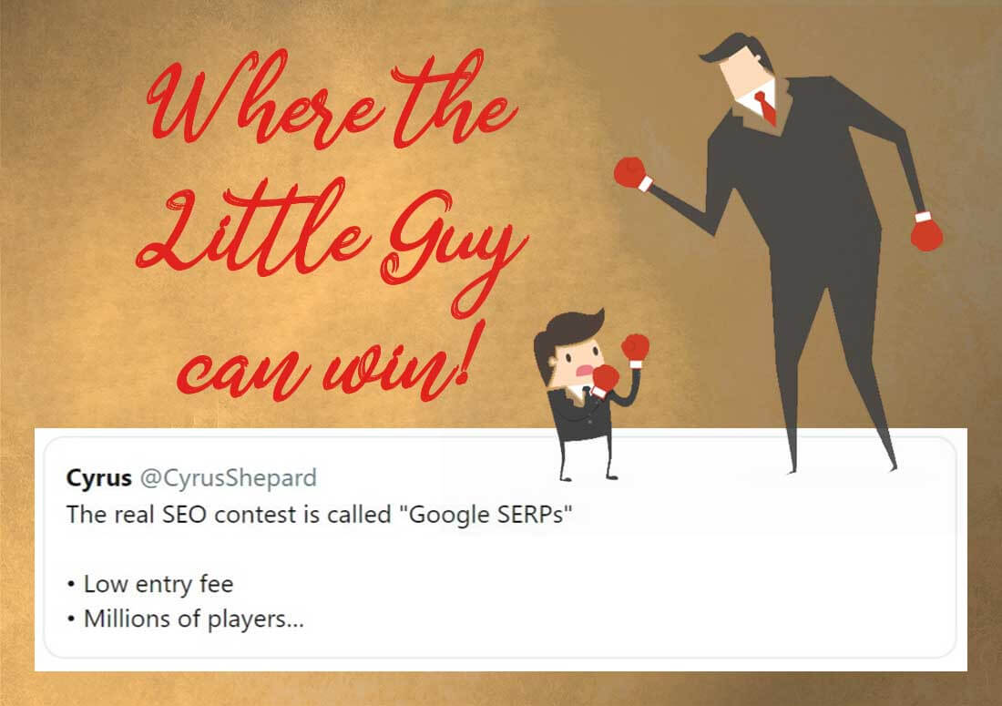 How to win Google-owned SERP Clicks and Customers