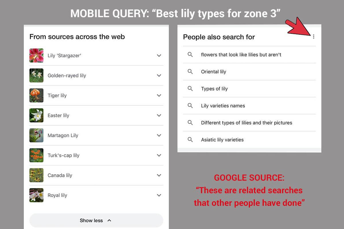 People also search for SERPs are more common in mobile search results