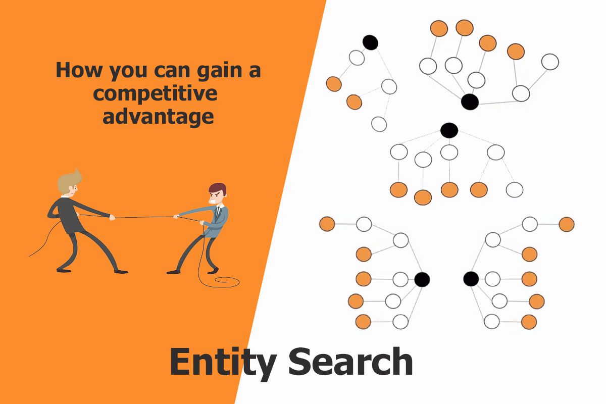 What is a entity search?