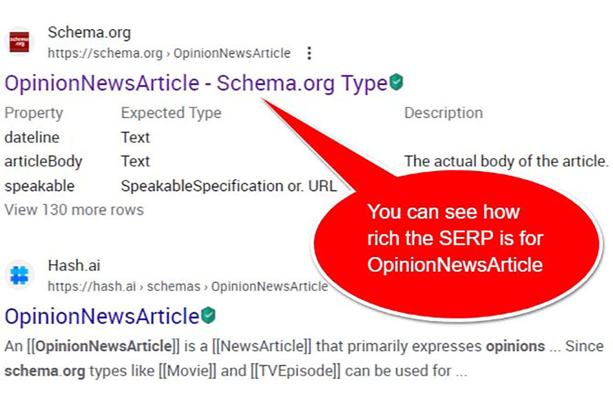 How to use Opinion News Article schema type