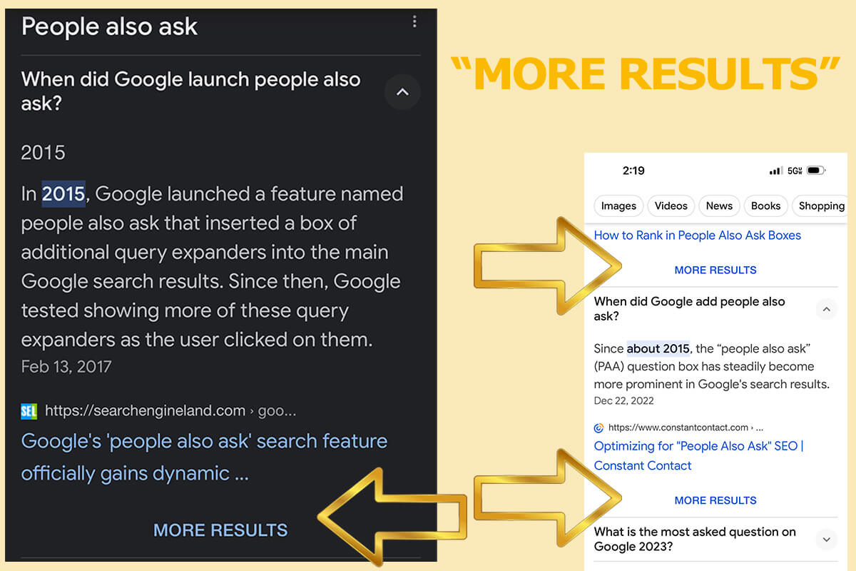 MORE RESULTS in People Also Ask SERPs